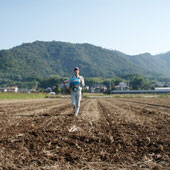 自然米の肥料れんげ種まき